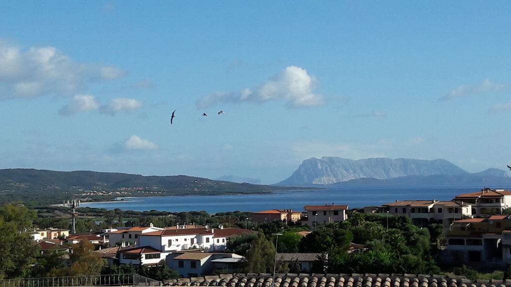 Appartamento Ottiolu Mare Porto Ottiolu Esterno foto