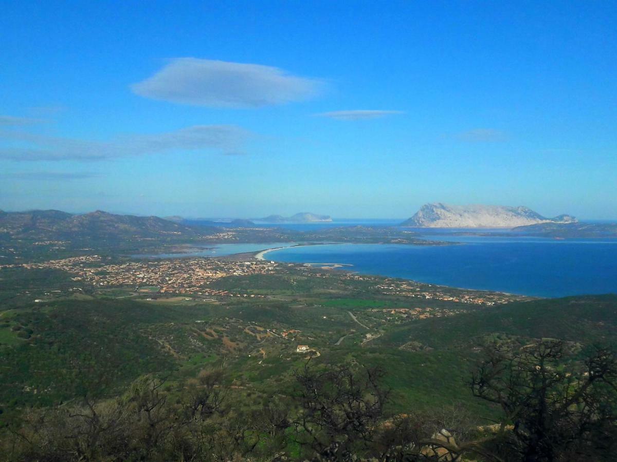 Appartamento Ottiolu Mare Porto Ottiolu Esterno foto